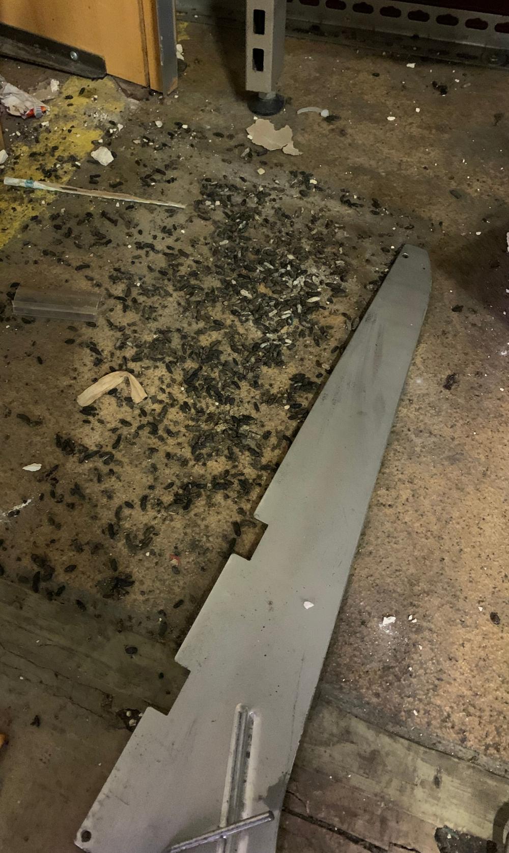 ¨Spillning hittades enstaka men på vissa ställen låg den i högar”, står det bland annat i rapporten från Göteborgs Stad. ¨Spillning hittades enstaka men på vissa ställen låg den i högar”, står det bland annat i rapporten från Göteborgs Stad.