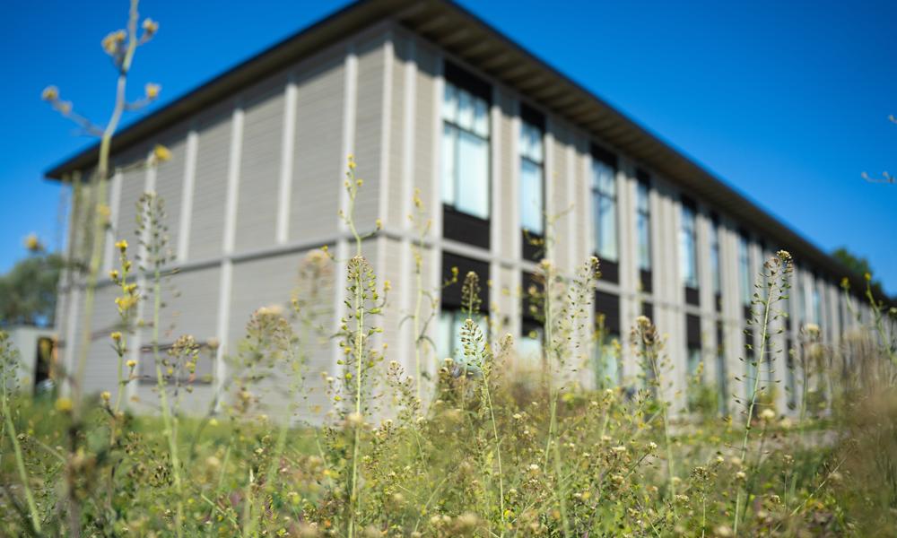 BM Byggeindustri bidrag til Kernehusene i Slagelse. BM Byggeindustri bidrag til Kernehusene i Slagelse.