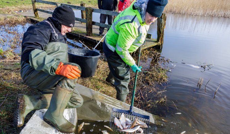 Nu er der nyt om massedød af fisk i stor nordjysk sø | Nordjyske.dk