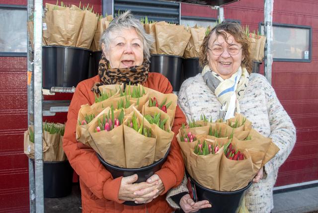 Lone Fogtmann og Susanne Engholm fra Vesterhavsfruerne fik varmen i det råkolde mandags-vejr ved at bringe tulipaner ud til virksomhederne i Fjerritslev.