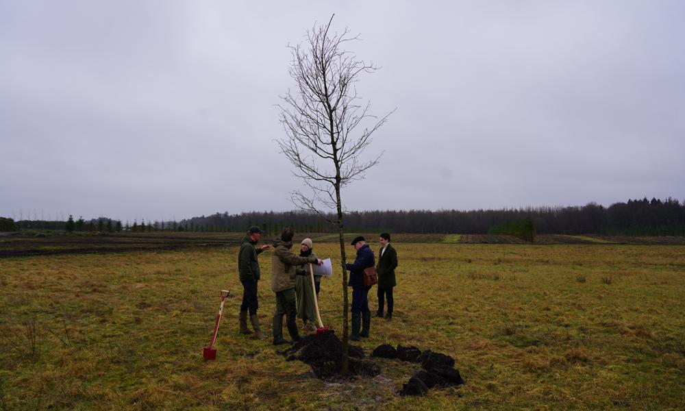 Det første egetræ er rejst ved Coops anden folkeskov ved Tistrup. Det første egetræ er rejst ved Coops anden folkeskov ved Tistrup.
