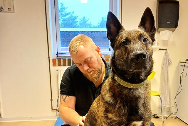 Her er det Rene Jurgensen fra Hirtshals Hundepension, der ser lidt på hundens tilstand i klinikken.
