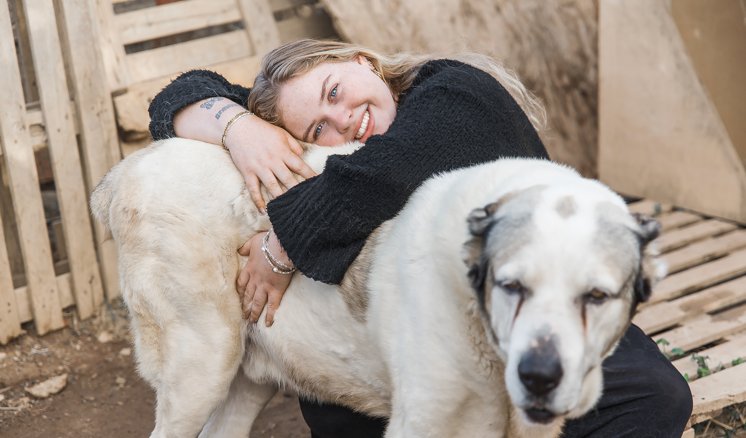 Hunde bliver skudt, forgiftet og forladt: Caroline vil vise bagsiden af ferieparadis