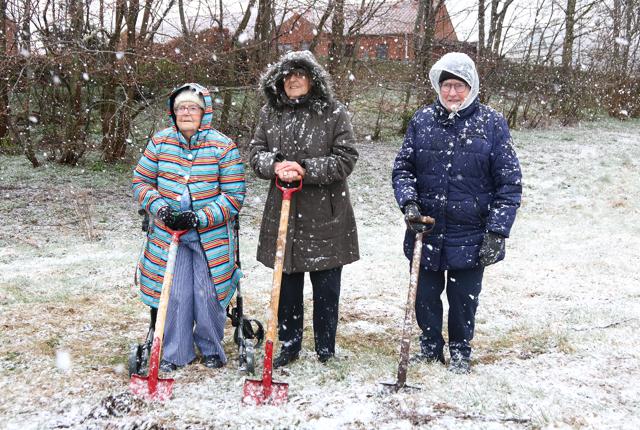 Alderen er ingen hindring for 90+ årige Lykke Johansen, Bodil Jensen og Lissy Jørgensen i at tage det første spadestik.