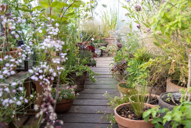 Udendørs krukker med planter kan være med til at pynte på både altan og terrasse.