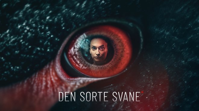Sort Svane Gældsstyrelsen vil gennemgå kendt branche-kurators sager efter TV2 ...