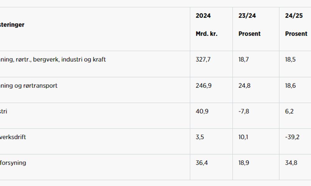 Utviklingen i investeringene i år og neste år. Utviklingen i investeringene i år og neste år.