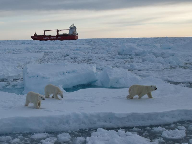 - Grønland bør straks sikre, at Royal Arctic Line dropper tung bunkerolie. Grønlandske og danske havne skal straks indføre en høj havneafgift for alle skibe, der bruger tung bunkerolie i Arktis, siger Kåre Press-Christensen. - Grønland bør straks sikre, at Royal Arctic Line dropper tung bunkerolie. Grønlandske og danske havne skal straks indføre en høj havneafgift for alle skibe, der bruger tung bunkerolie i Arktis, siger Kåre Press-Christensen.