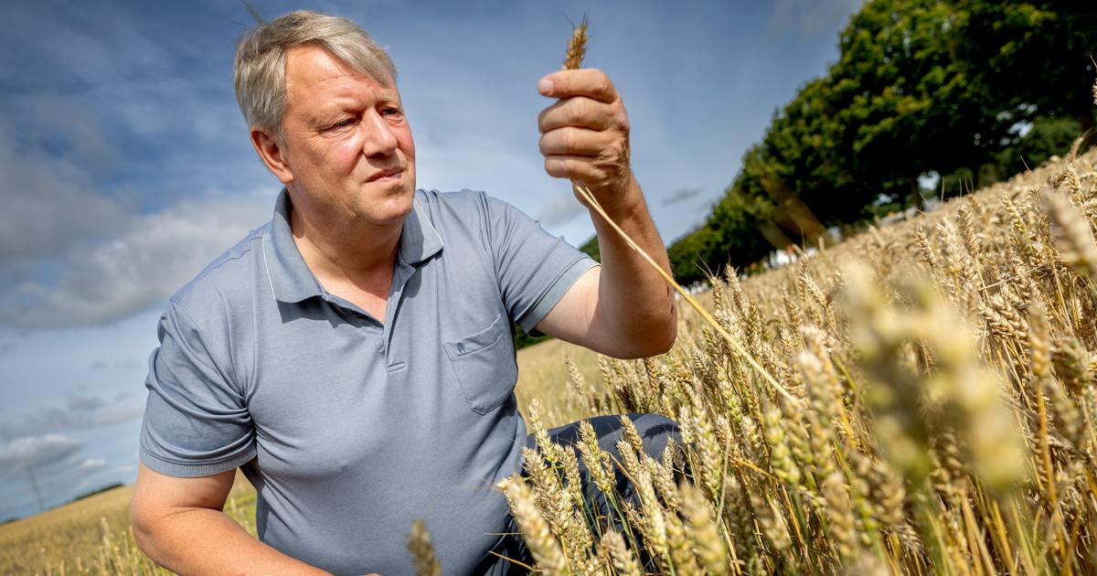 Søren Rasmussen har investeret en milliard: - Det handler ikke om ...