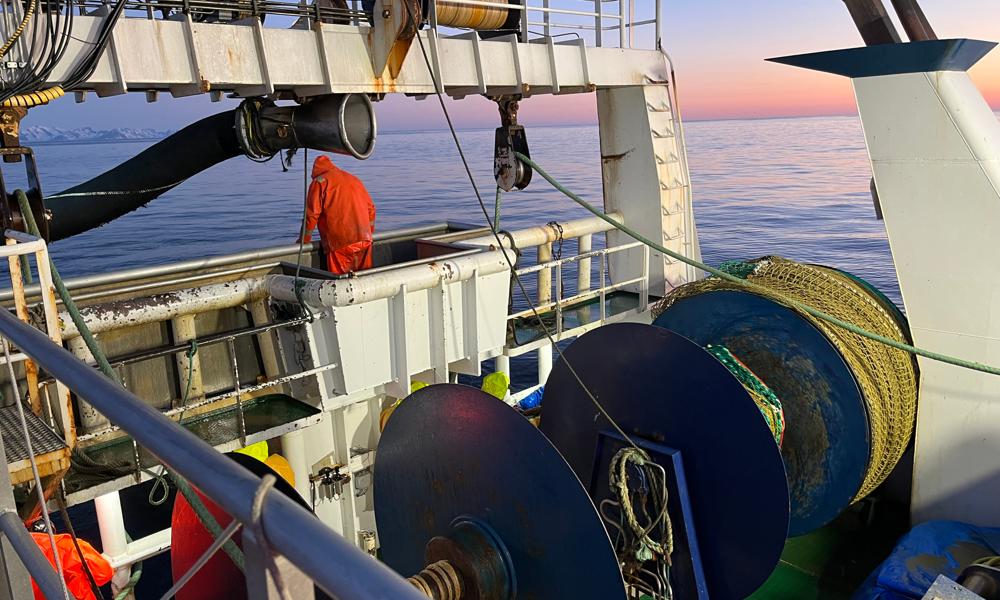 Strukturering: Fiskeflåten har gjennomgått en betydelig strukturering. Det har resultert i færre, men større og mer avanserte fartøy. Strukturering: Fiskeflåten har gjennomgått en betydelig strukturering. Det har resultert i færre, men større og mer avanserte fartøy.