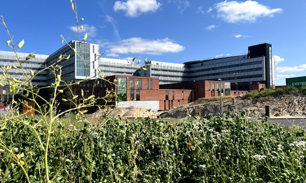 Med resultaterne af skimmelprøverne i hånden forventer Region Nordjylland stadig at tage Nyt Aalborg Universitetshospital i brug i 2026. Med resultaterne af skimmelprøverne i hånden forventer Region Nordjylland stadig at tage Nyt Aalborg Universitetshospital i brug i 2026.