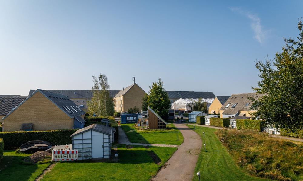 Modernisering og energirenovering af Bøge-/Birkeskoven kommer til at tage godt to år. Modernisering og energirenovering af Bøge-/Birkeskoven kommer til at tage godt to år.