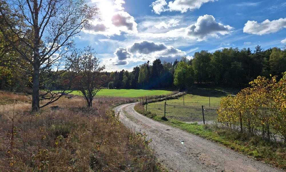 Vägen mot Scania Vabis-drömmen... Vägen mot Scania Vabis-drömmen...