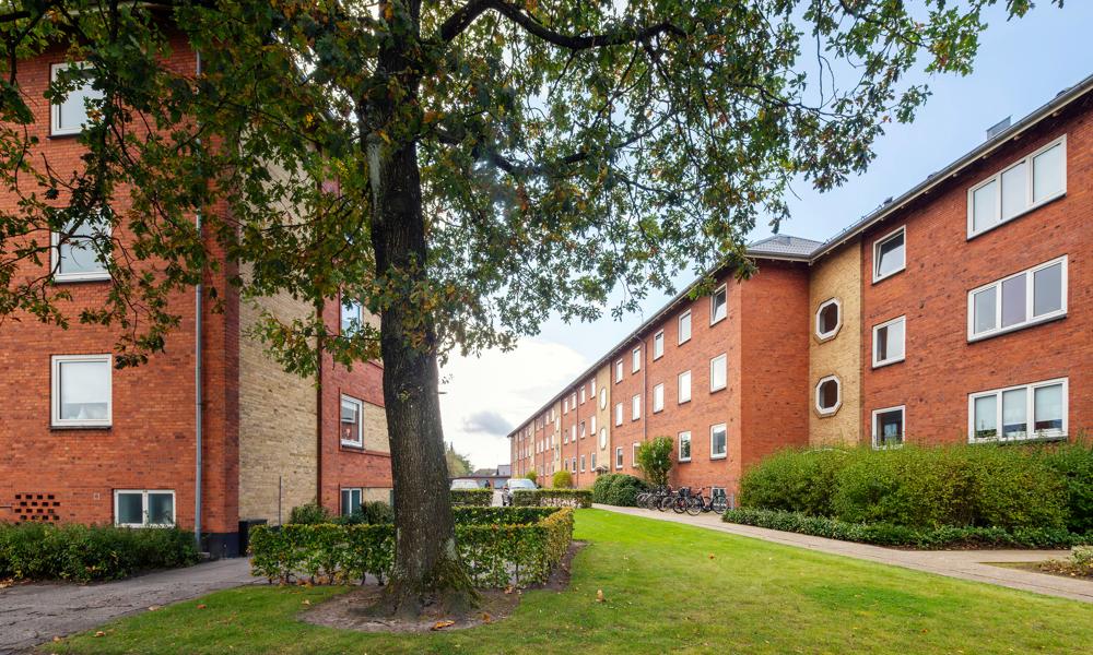 De seks lejlighedsblokke skal gennem en stor renovering hvor alle tekniske installationer skal udskiftes. De seks lejlighedsblokke skal gennem en stor renovering hvor alle tekniske installationer skal udskiftes.