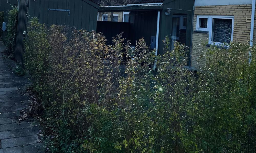 Bebyggelsen Græse Bakkeby er opført i 1882-85 i Frederikssund på adresserne Bybakken 1-176, Byhøjen 2-104 og Dalskrænten 1-224. Bebyggelsen Græse Bakkeby er opført i 1882-85 i Frederikssund på adresserne Bybakken 1-176, Byhøjen 2-104 og Dalskrænten 1-224.