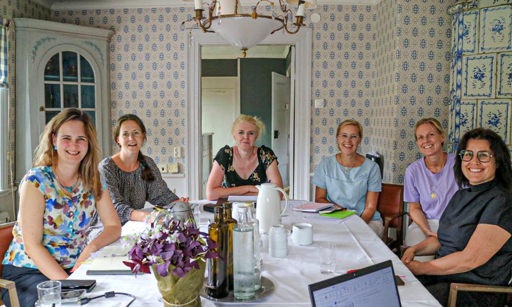 Swecare-teamet i strategimöte. Fr v Ana Flanagan, Mikaela Annerling Swahn, Maria Helling, Anna Riby, Cécilia Wismar och Kateryna Pavelko. Swecare-teamet i strategimöte. Fr v Ana Flanagan, Mikaela Annerling Swahn, Maria Helling, Anna Riby, Cécilia Wismar och Kateryna Pavelko.