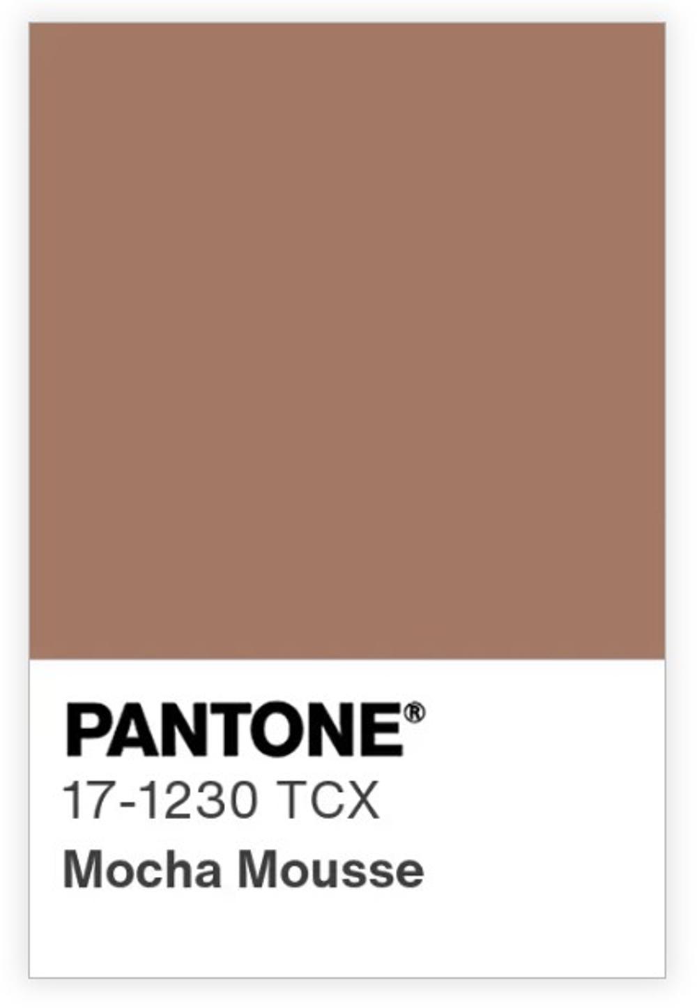 PANTONE 17-1230 Mocha Mousse. PANTONE 17-1230 Mocha Mousse.