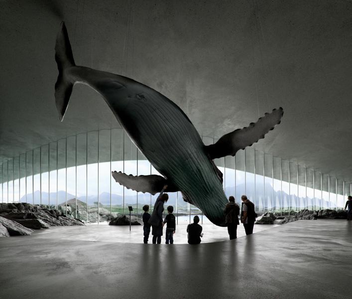 The Whale i Norge er et meget markant prestigeprojekt for Dorte Mandrup. Det er nu for alvor i gang og ventes færdigt i 2027. The Whale i Norge er et meget markant prestigeprojekt for Dorte Mandrup. Det er nu for alvor i gang og ventes færdigt i 2027.