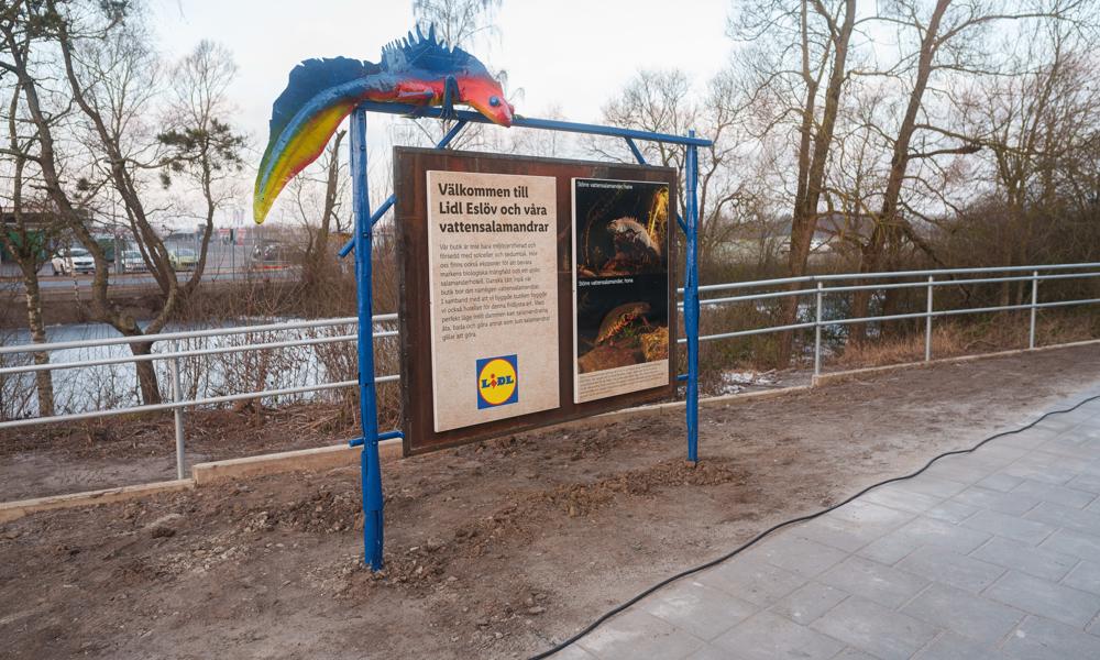 Lidl har satt upp en informationsskylt angående det kommande salamanderhotellet vid butiken i Eslöv. Lidl har satt upp en informationsskylt angående det kommande salamanderhotellet vid butiken i Eslöv.