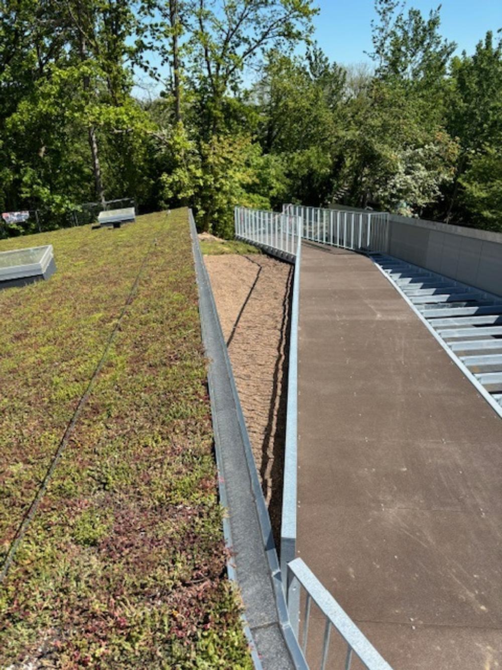 Børnehuset Olympen er bl.a. karakteriseret med et grønt sedumtag med solceller og en kombineret gang- og cykelsti henover. Børnehuset Olympen er bl.a. karakteriseret med et grønt sedumtag med solceller og en kombineret gang- og cykelsti henover.