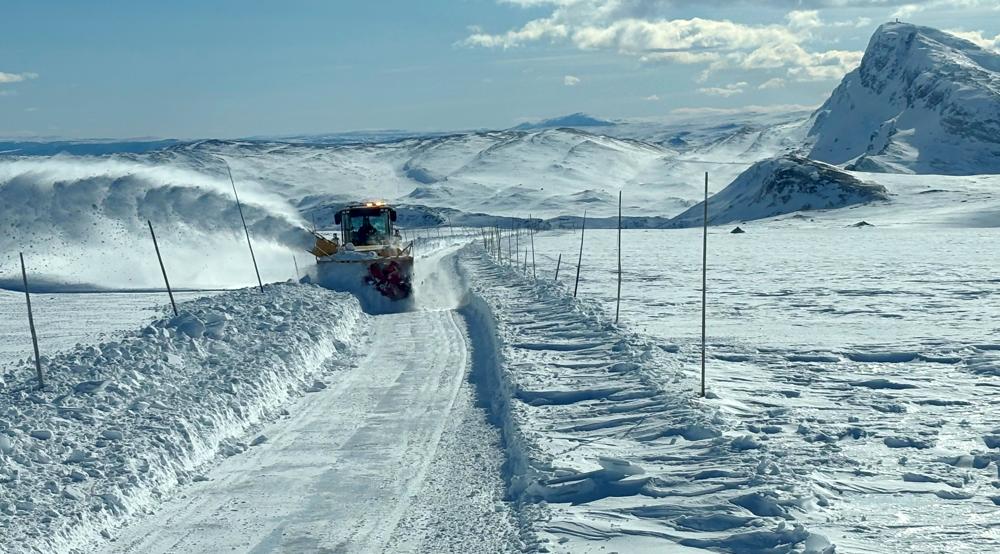 Stora delar av vägen över Valdresflya går ovan trädgränsen, med en högsta punkt på 1 389 meter över havet. Stora delar av vägen över Valdresflya går ovan trädgränsen, med en högsta punkt på 1 389 meter över havet.