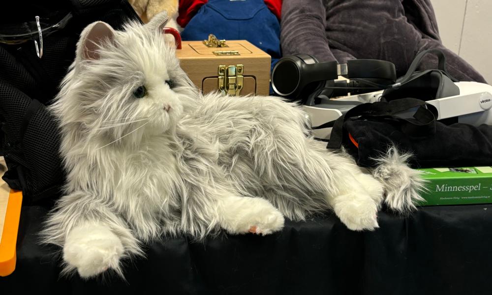 Robotkatter används på många äldreboenden. Robotkatter används på många äldreboenden.