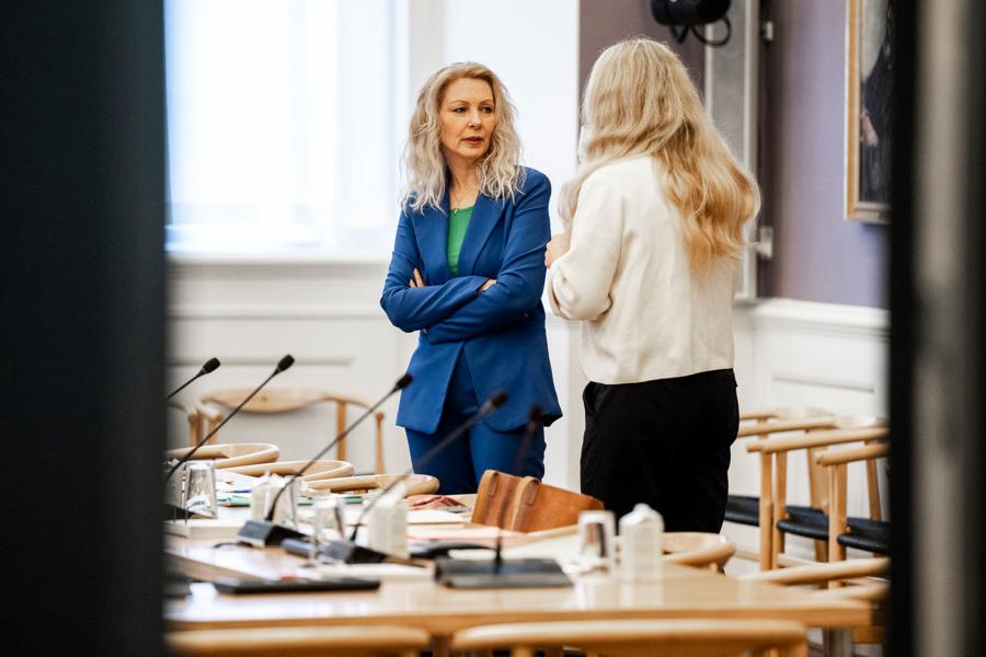 Dina Raabjerg (K) forud for samråd med klima-, energi- og forsyningsminister Lars Aagaard den 9. april. Dina Raabjerg (K) forud for samråd med klima-, energi- og forsyningsminister Lars Aagaard den 9. april.