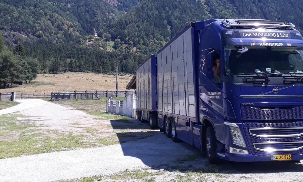 Dyretransporterne har gennem årene bragt den midtjyske vognmand vidt omkring. Dyretransporterne har gennem årene bragt den midtjyske vognmand vidt omkring.