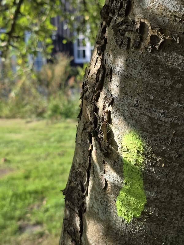 Har Vejdirektoratet brug for vagter for at arbejde på Egholm?