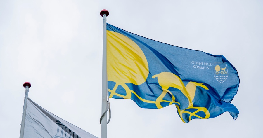 Vagthund har ikke råd – skrinlægger historisk sag i forsyningsskandale