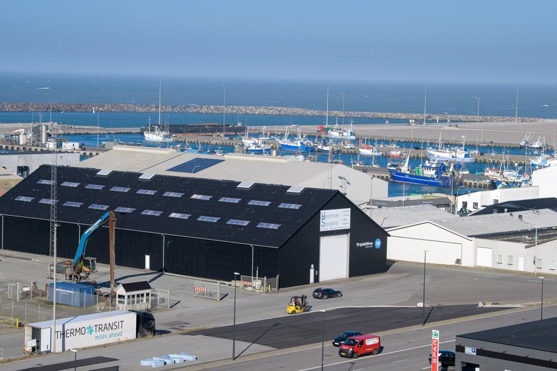 Et Sea Center Hanstholm skal være en integreret del af havnen - enten realiseret under eget tag i en ny bygning, eller som del af et kommende Fiskeriets Hus på havnen. Arkivfoto: Bo Lehm