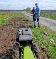 Idrætsfolk på frivilligt have- og markarbejde: Overskud går til halprojekt