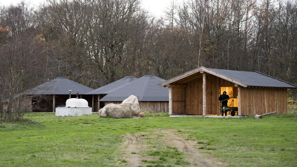 Der arbejdes stadig på den ny hestestald, der dog ikke kommer til at indeholde heste - men der imod får og mohairgeder - i første omgang. Foto: Henrik Bo <i>Foto: Henrik Bo</i>
