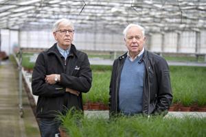 Rækkehuse afløser pelargonier: Ingen fremtid for gartneribranchen