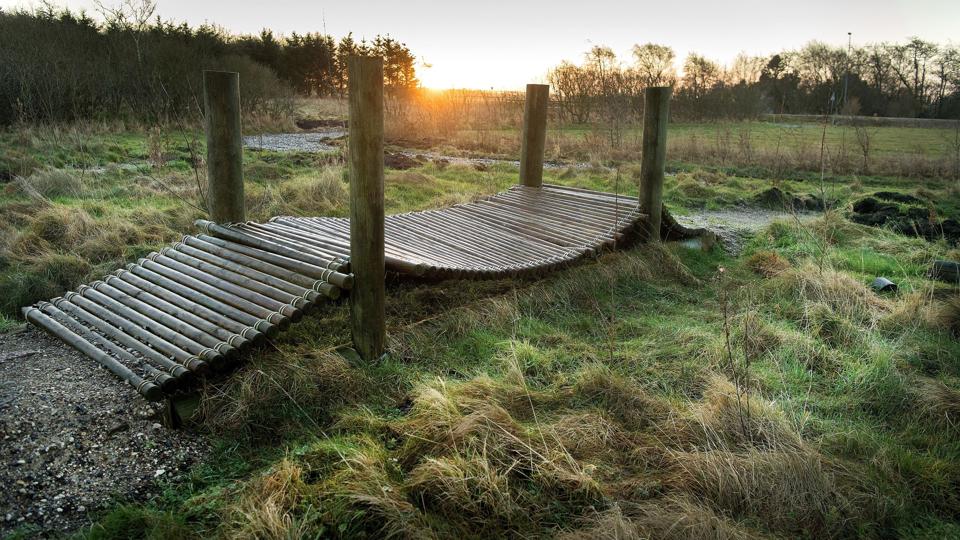 Borgerne promoverer hver deres bopæl i Jammerbugt Kommune. Arkivfoto: Torben Hansen