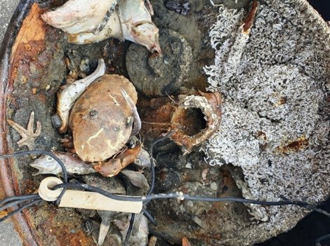 Sådan så den gamle, rustne mine ud helt tæt på. Foto: Midt- og Vestjyllands Politi