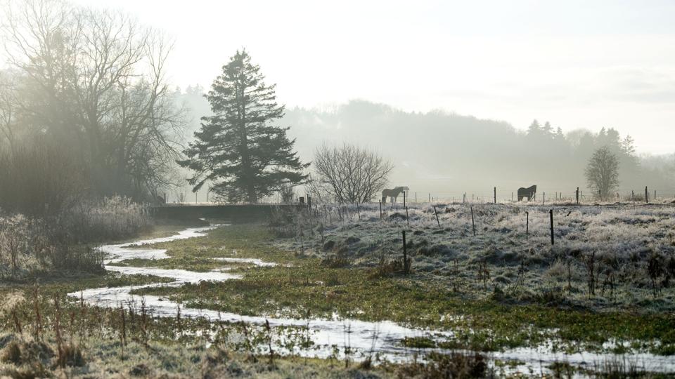 Rebild Bakker er smuk på alle tider af året. Her er det 2. juledag. Foto: Henrik Bo <i>Foto: Henrik Bo</i>
