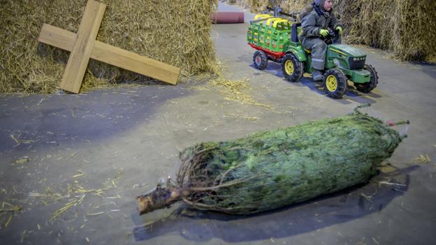 Sander Odde Dalum hjalp med at transportere juletræsfødderne af stål rundt i staldbygningen med sin mini traktor og vogn. Foto: Martin Damgård