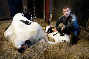 Det skete julenat i stalden: To nyfødte i halmen