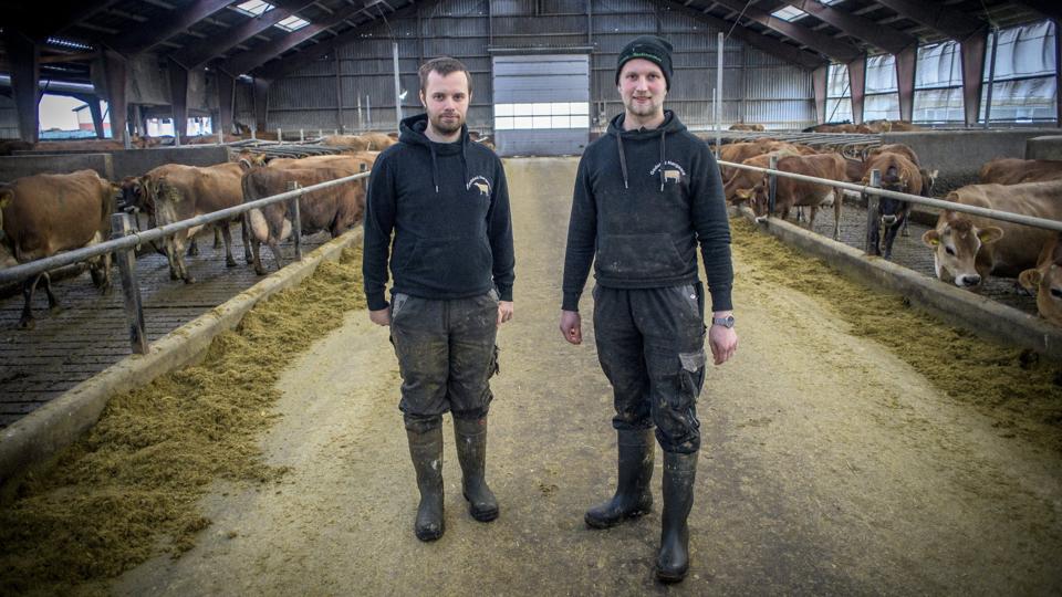 Kasper (tv) og Rasmus Sudergaard troede, at deres miljøgodkendelsen var i orden. Det var den ikke, for myndighedernes regnemaskine havde en fejl. Foto: Martin Damgård