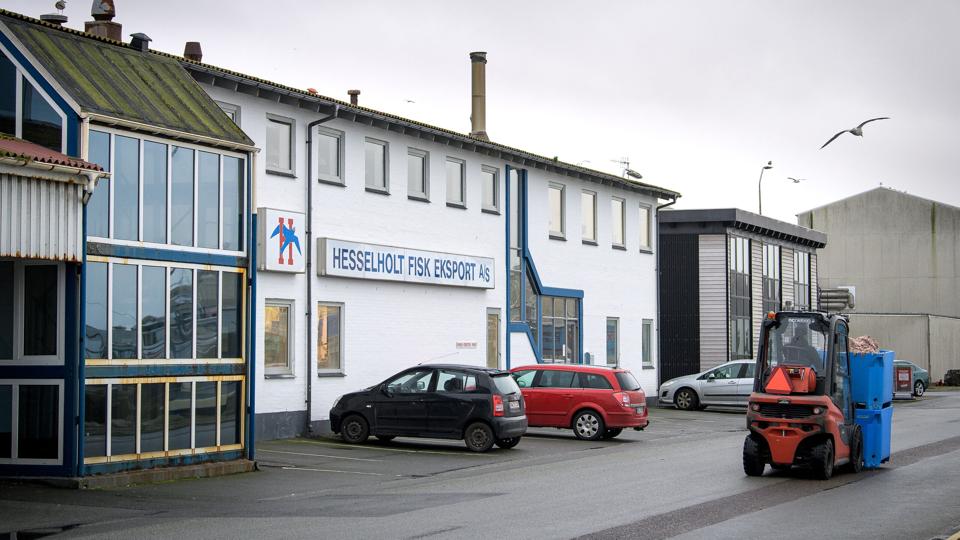 Hesselholt Fisk Eksport har haft hjemme her på havnen i Hanstholm - men om lidt får virksomhedens 61 år lange virke et kedeligt punktum <i>Foto: Bo Lehm</i>