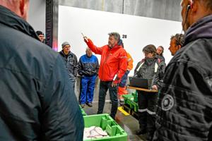 Her handler det om fisk: Flere veje fører til fiskeauktionen i Hanstholm