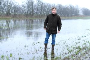 Sårbart vinterkorn drukner: Vildt regnvejr koster landmænd dyrt