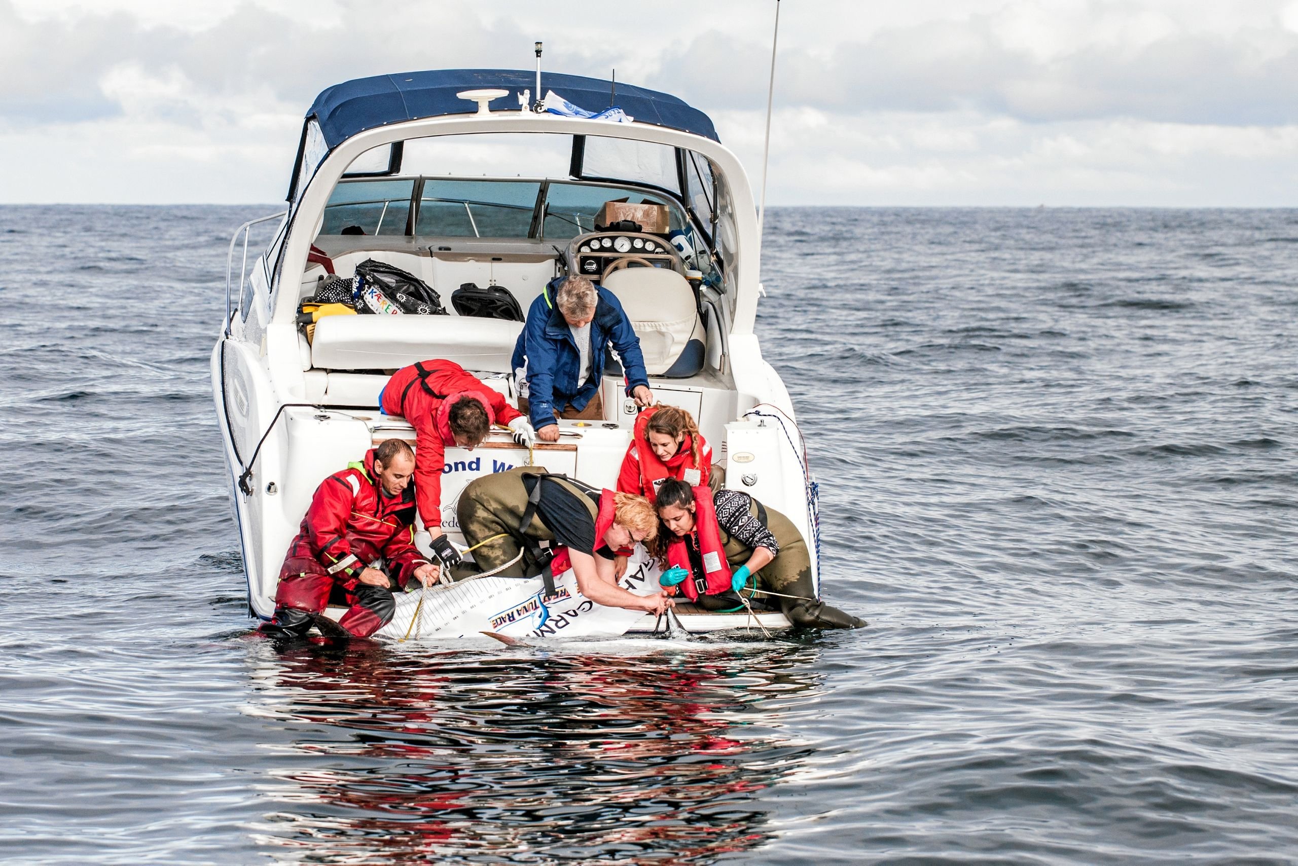 Lystfiskere fik i dén grad bid nord for Skagen: Fangede fisk på op mod 380 kilo