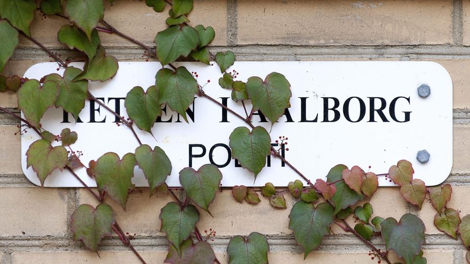 Arkivfoto <i>Foto: Torben Hansen</i>