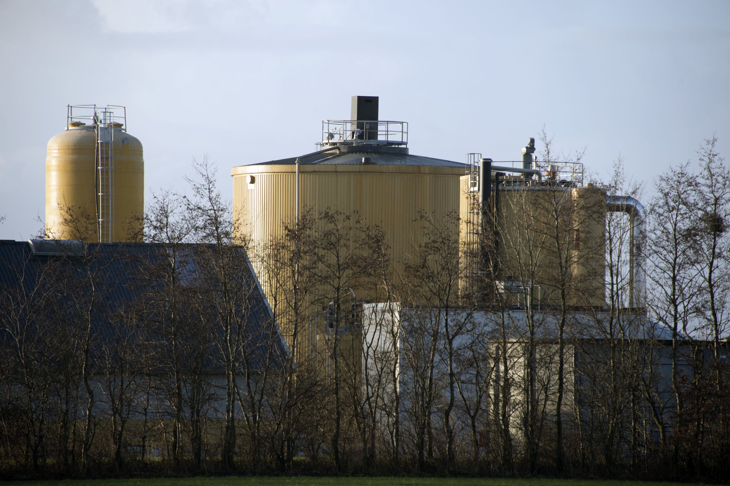 Biogasanlæg søger om lov til at køre tre gange så meget biomasse gennem anlægget