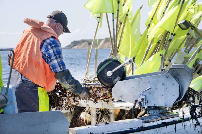 Fra en tidligere indsats mod spøgelsesnet ud for Ejerslev Havn. Arkivfoto: Peter Mørk