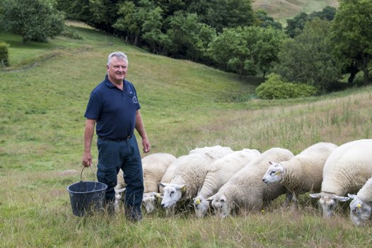 Esben Christoffersen er dyrlæge og direktør hos Vendsyssel Landdyrlæger. 1 september flytter de fra Østervrå til Tårs.Foto: Kim Dahl Hansen <i>Foto: Kim Dahl Hansen</i>
