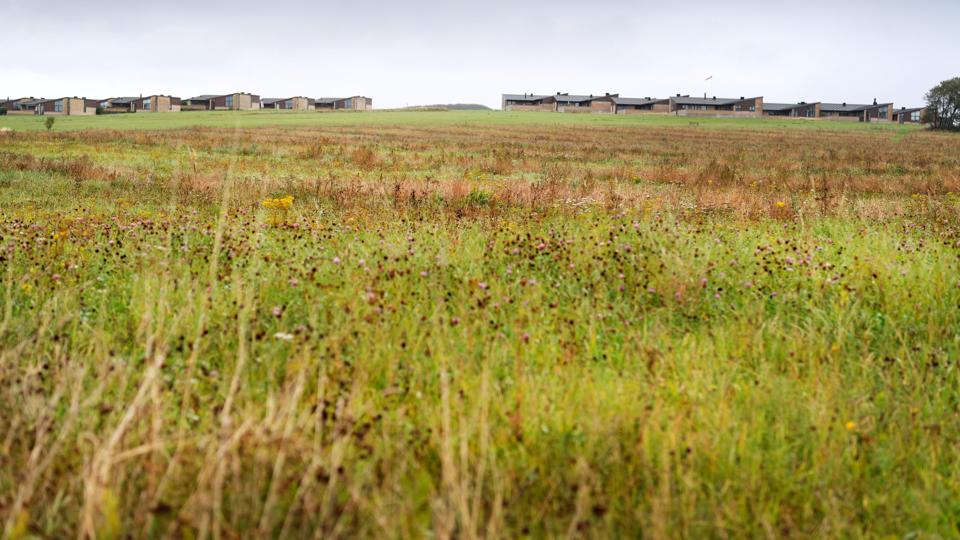 Aalborg Kommunen budgetterer med at tjene 30 mio. kr. på ny udstykning i Hasseris. Foto: Torben Hansen