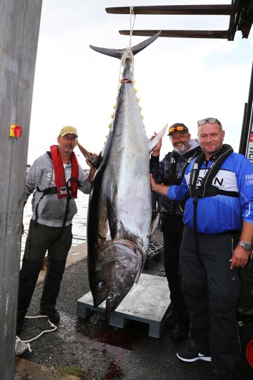 Kim Poulsen (tv.), Martin Poulsen og Sune Andersen (th.) med den første lystfisker-fangede tun landet i Danmark siden 60'erne. Foto: Line Dam